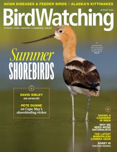 BirdWatching USA – July-August 2022