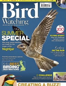 Bird Watching UK – July 2022