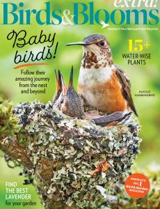 Birds and Blooms Extra – July 2022