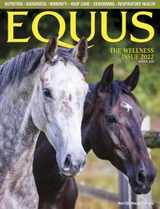 Equus – June 2022
