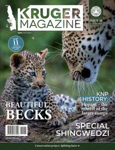 Kruger Magazine – Winter 2022