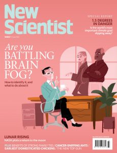 New Scientist International Edition – June 11, 2022
