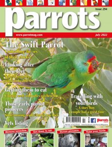 Parrots – July 2022