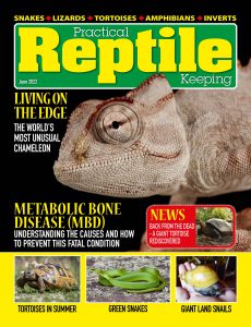 Practical Reptile Keeping – June 2022