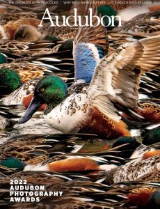 Audubon Magazine – Summer 2022