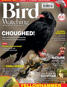 Bird Watching UK – August 2022
