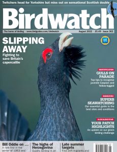 Birdwatch UK – Issue 362 – August 2022