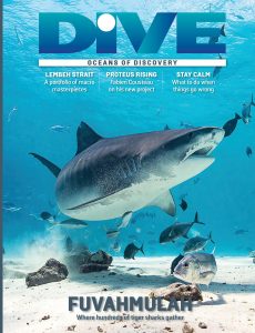 Dive Magazine – Summer 2022