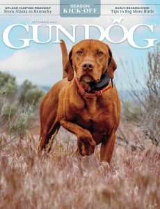 Gun Dog – September 2022