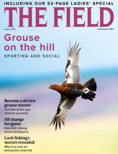 The Field – August 2022