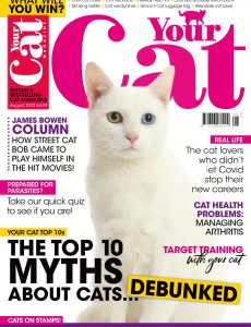 Your Cat – August 2022