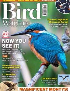 Bird Watching UK – September 2022