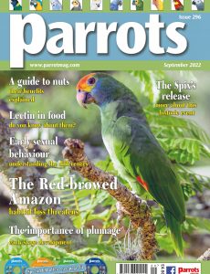 Parrots – September 2022