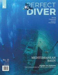 Perfect Diver – July-August 2022