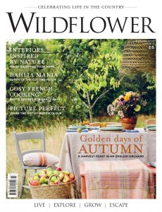 Wildflower Magazine – August 2022