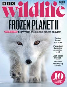 BBC Wildlife – October 2022