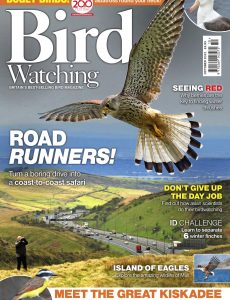 Bird Watching UK – October 2022