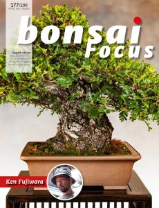 Bonsai Focus (English Edition) – July-August 2022