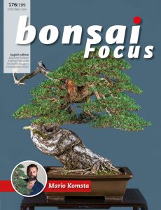 Bonsai Focus (English Edition) – May-June 2022