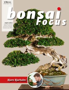 Bonsai Focus (English Edition) – September-October 2022