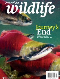 Canadian Wildlife – September-October 2022