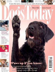 Dogs Today UK – September 2022