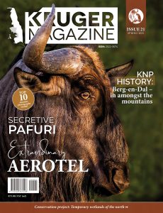 Kruger Magazine – Spring 2022