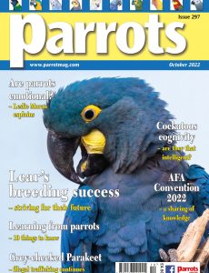 Parrots – October 2022