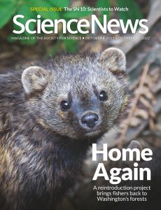 Science News – 8 October 2022