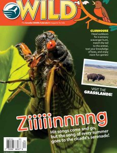 Wild Magazine for Kids – August-September 2022