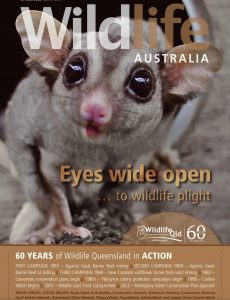 Wildlife Australia – Spring 2022