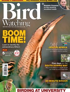 Bird Watching UK – November 2022