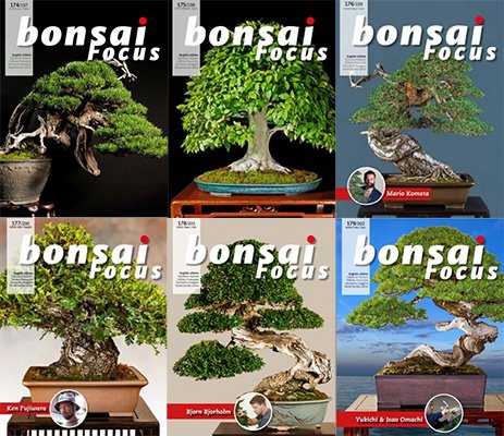 Bonsai Focus – Full Year 2022 Issues Collection