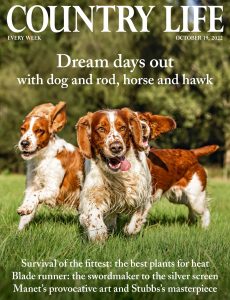 Country Life UK – October 19, 2022