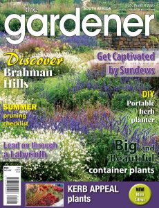 The Gardener South Africa – November 2022