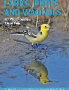 Bird ID Photo Guides – Issue 2 ,2022