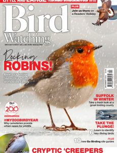 Bird Watching UK – December 2022