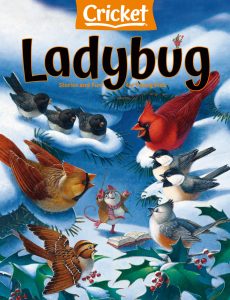 Ladybug – November 2022