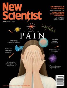 New Scientist – November 19, 2022