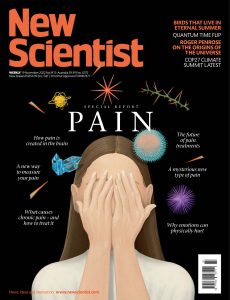 New Scientist Australian Edition – 19 November 2022