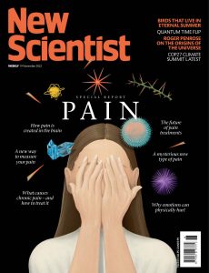 New Scientist International Edition – November 19, 2022