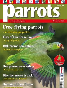 Parrots – December 2022