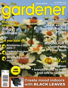 The Gardener South Africa – December 2022