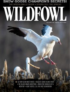 Wildfowl – December 2022 – January 2023