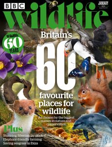 BBC Wildlife – January 2023