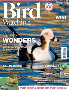 Bird Watching UK – January 2023