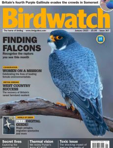 Birdwatch UK – January 2023