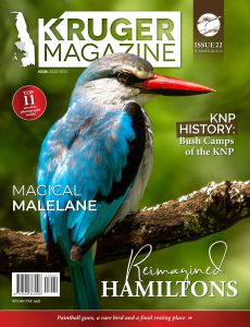 Kruger Magazine – Summer 2022-2023