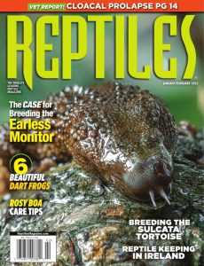 Reptiles – January-February 2023