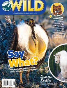 Wild Magazine for Kids – December 2022-January 2023